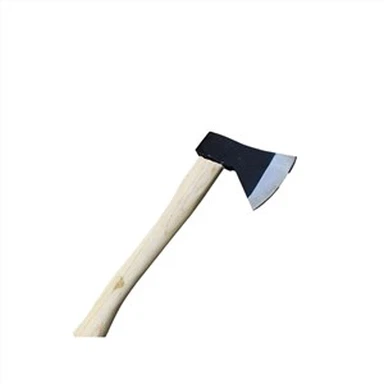 Axe with Wooden Handle
